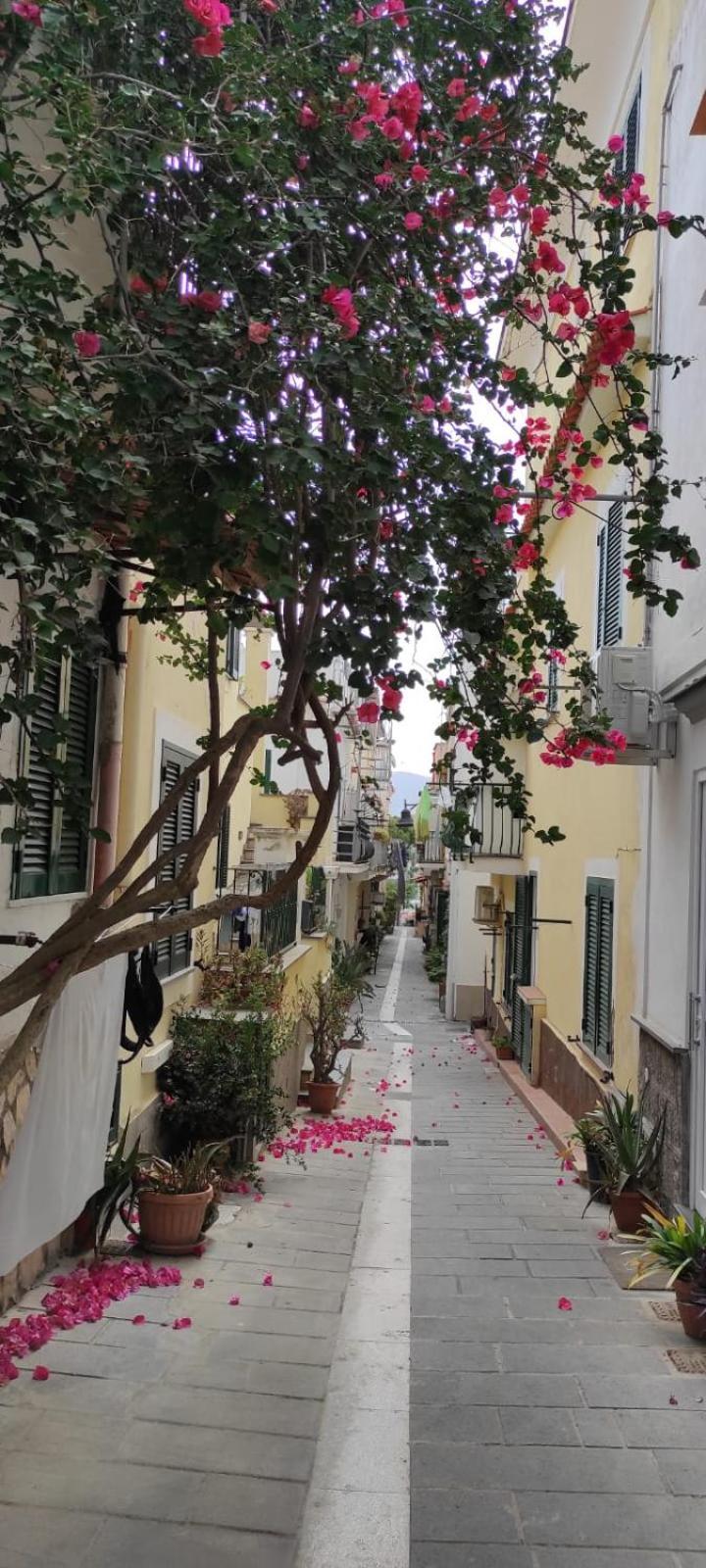 La Casa Rosa Di Giulia Villa Ischia Luaran gambar