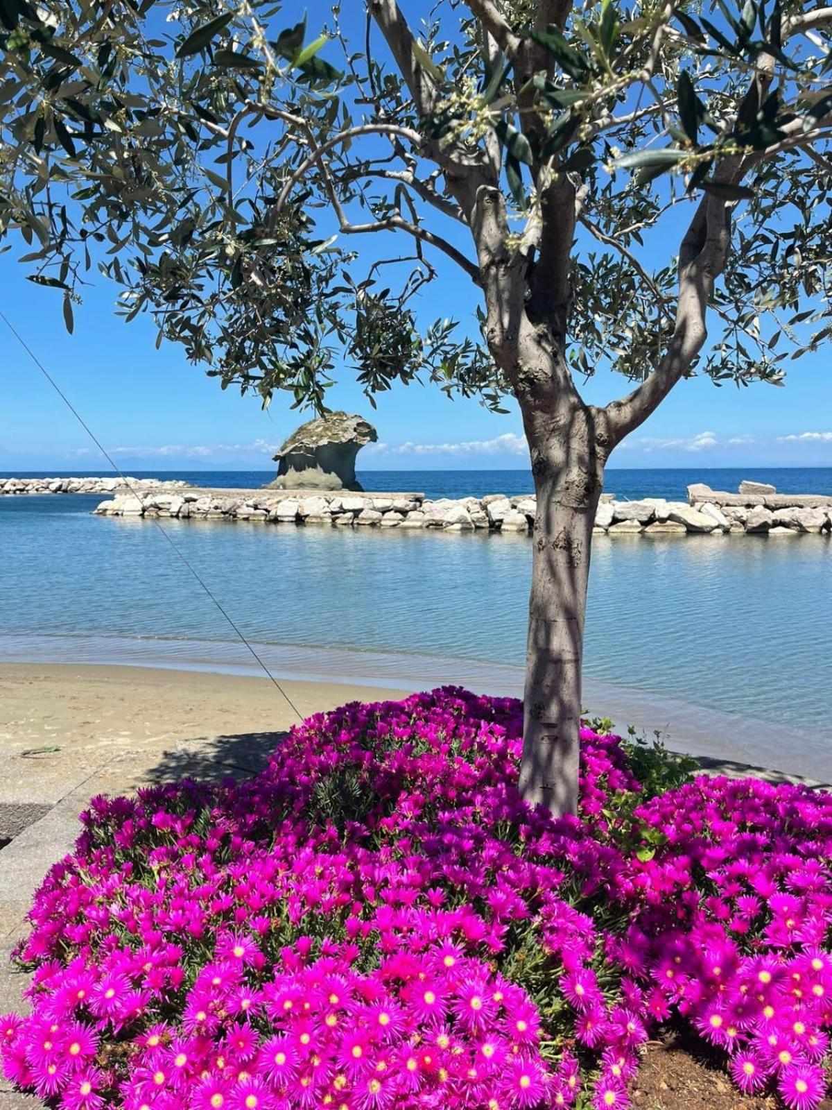 La Casa Rosa Di Giulia Villa Ischia Luaran gambar